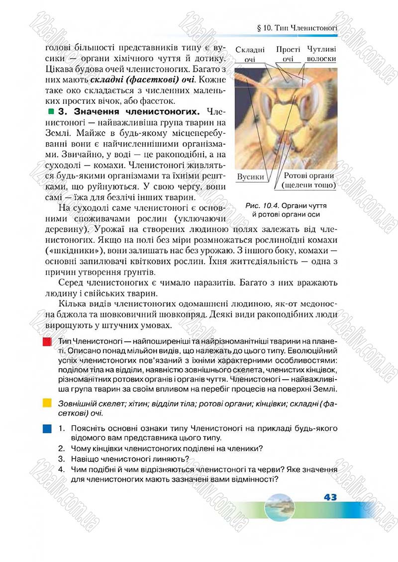 Сторінка 43 - Підручник Біологія 7 клас Д. А. Шабанов,  М. О. Кравченко 2015