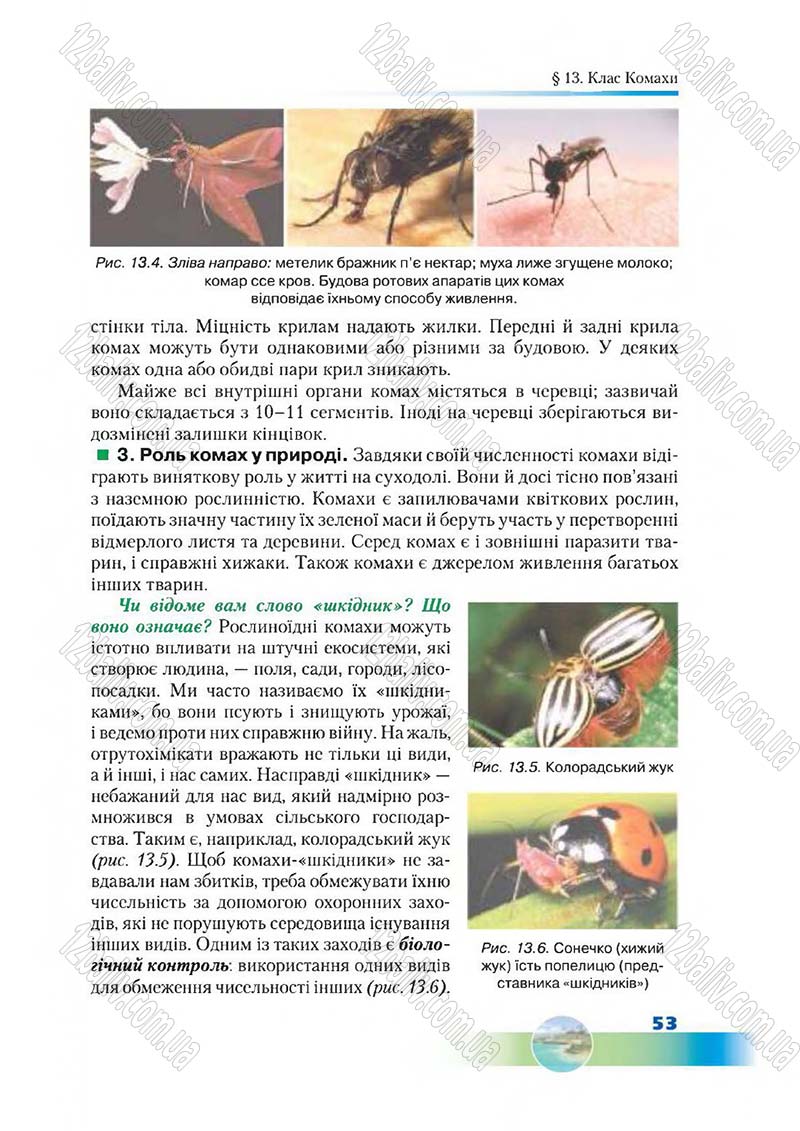 Сторінка 53 - Підручник Біологія 7 клас Д. А. Шабанов,  М. О. Кравченко 2015