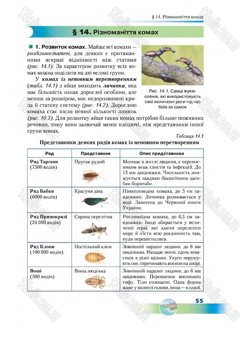 Сторінка 55 - Підручник Біологія 7 клас Д. А. Шабанов,  М. О. Кравченко 2015