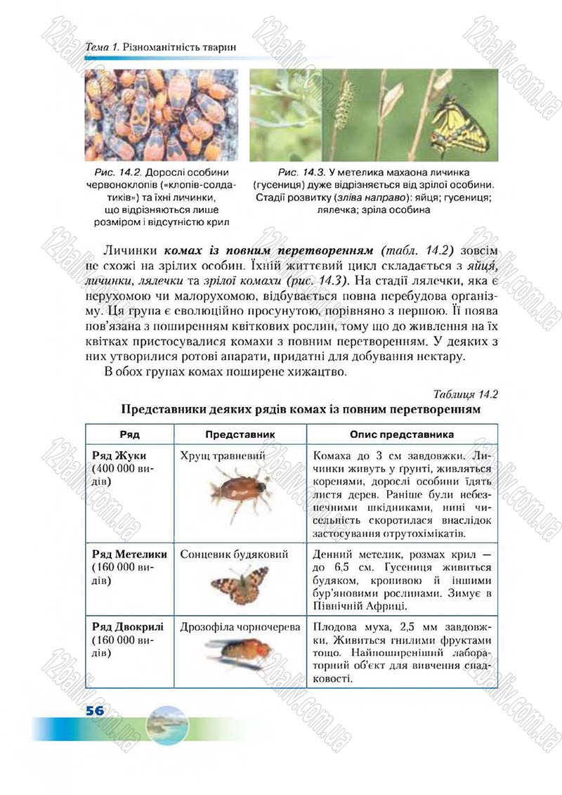 Сторінка 56 - Підручник Біологія 7 клас Д. А. Шабанов,  М. О. Кравченко 2015