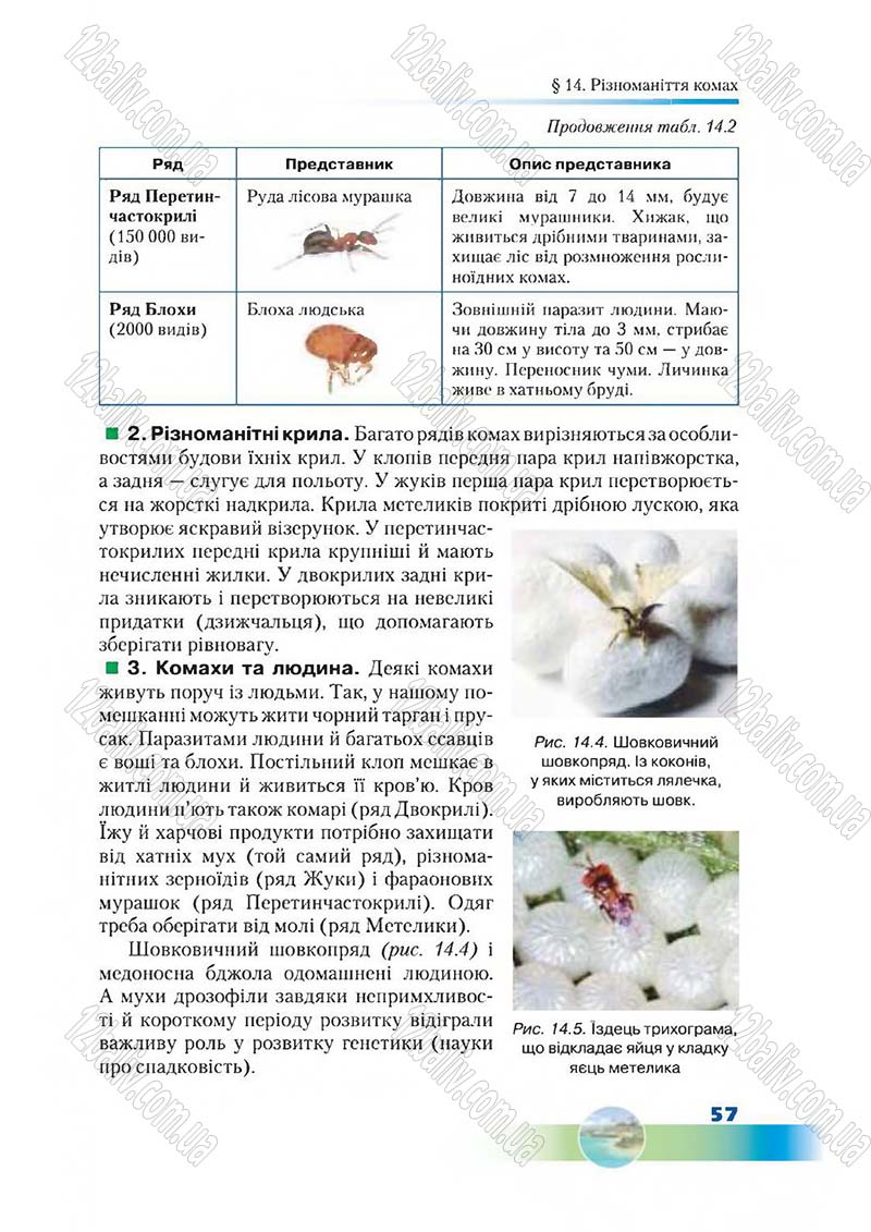 Сторінка 57 - Підручник Біологія 7 клас Д. А. Шабанов,  М. О. Кравченко 2015