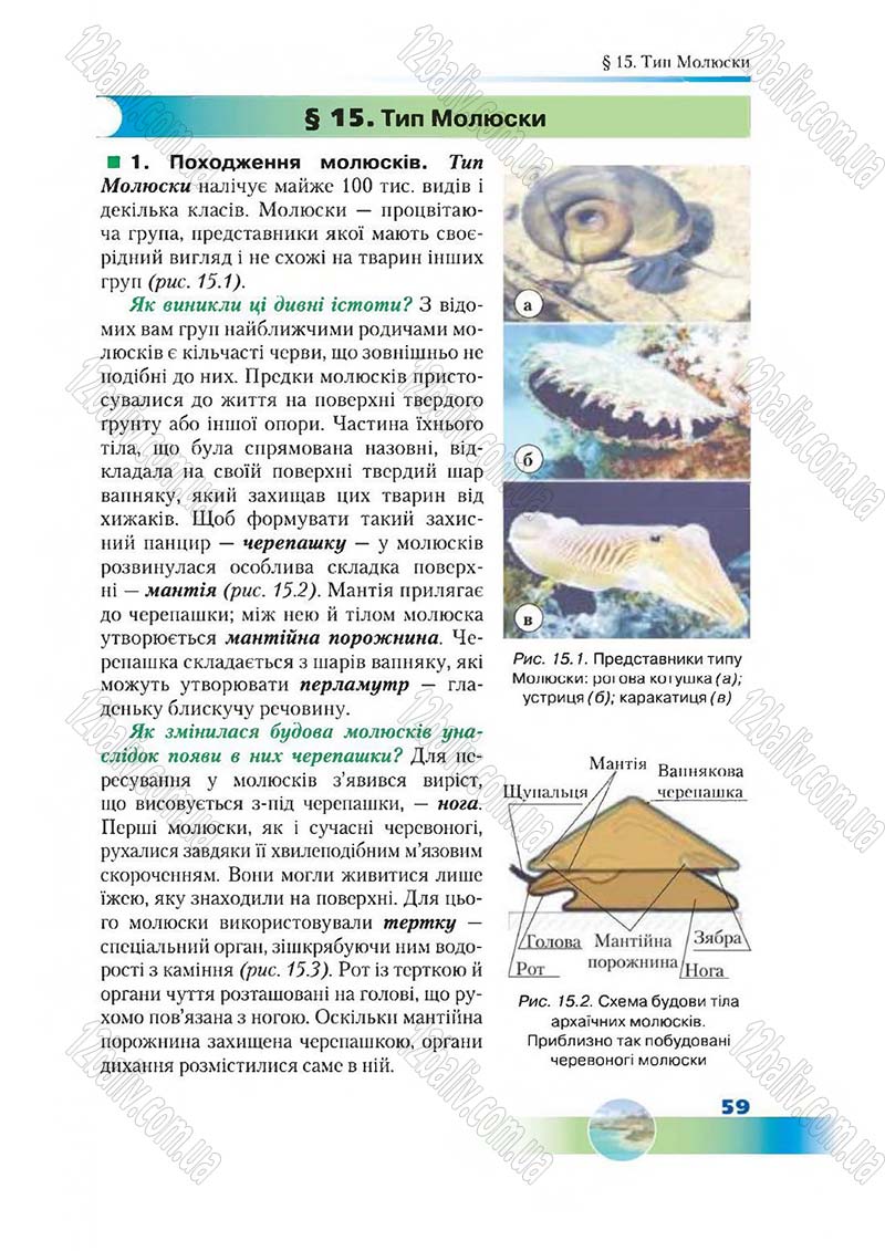 Сторінка 59 - Підручник Біологія 7 клас Д. А. Шабанов,  М. О. Кравченко 2015