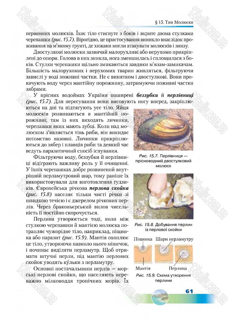 Сторінка 61 - Підручник Біологія 7 клас Д. А. Шабанов,  М. О. Кравченко 2015