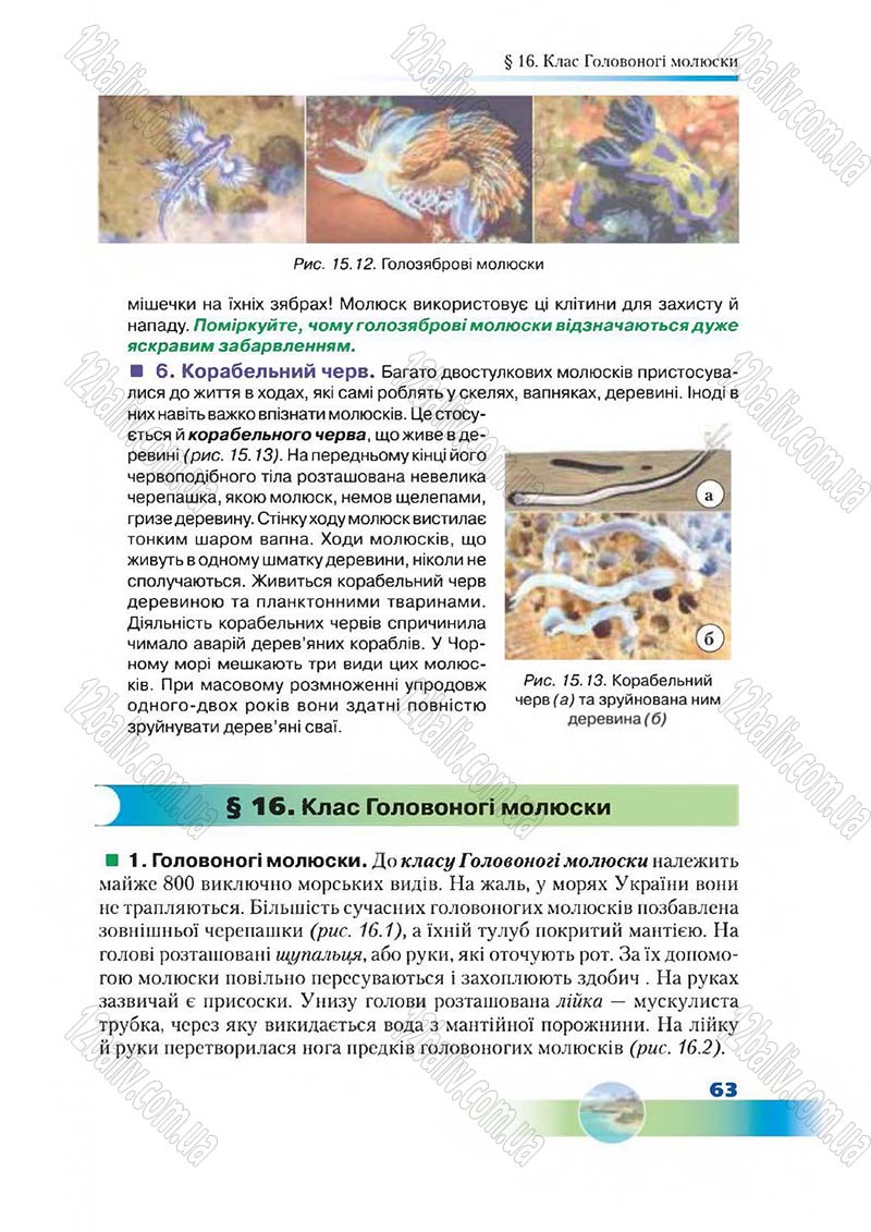 Сторінка 63 - Підручник Біологія 7 клас Д. А. Шабанов,  М. О. Кравченко 2015
