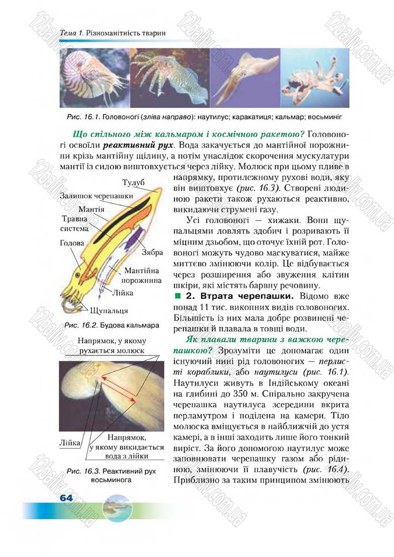 Сторінка 64 - Підручник Біологія 7 клас Д. А. Шабанов,  М. О. Кравченко 2015