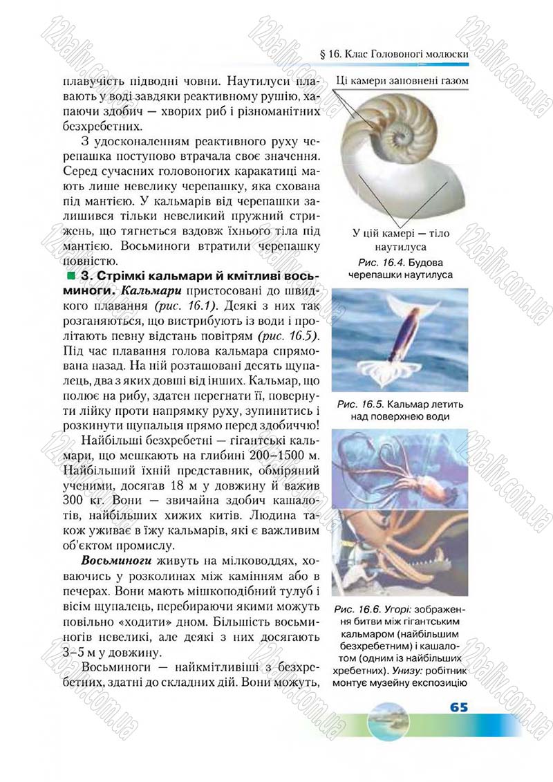 Сторінка 65 - Підручник Біологія 7 клас Д. А. Шабанов,  М. О. Кравченко 2015
