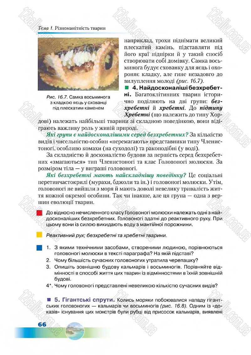Сторінка 66 - Підручник Біологія 7 клас Д. А. Шабанов,  М. О. Кравченко 2015