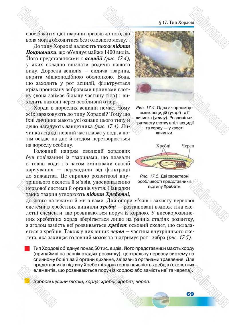Сторінка 69 - Підручник Біологія 7 клас Д. А. Шабанов,  М. О. Кравченко 2015