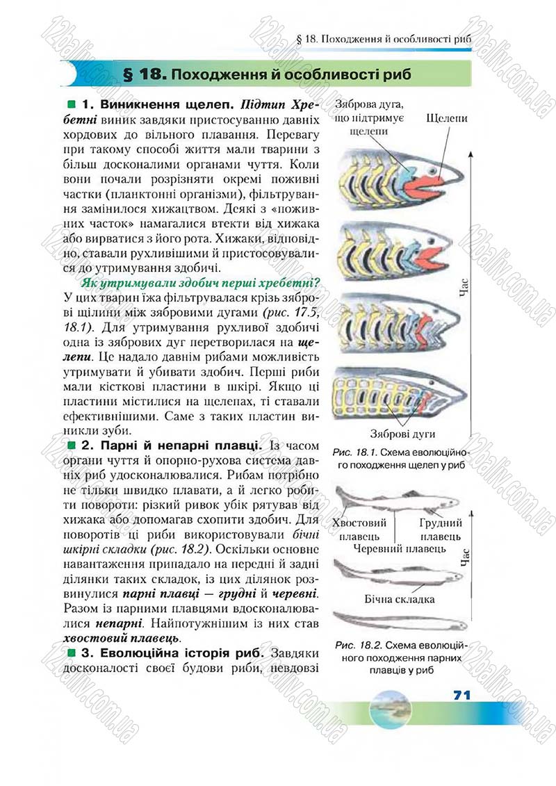 Сторінка 71 - Підручник Біологія 7 клас Д. А. Шабанов,  М. О. Кравченко 2015