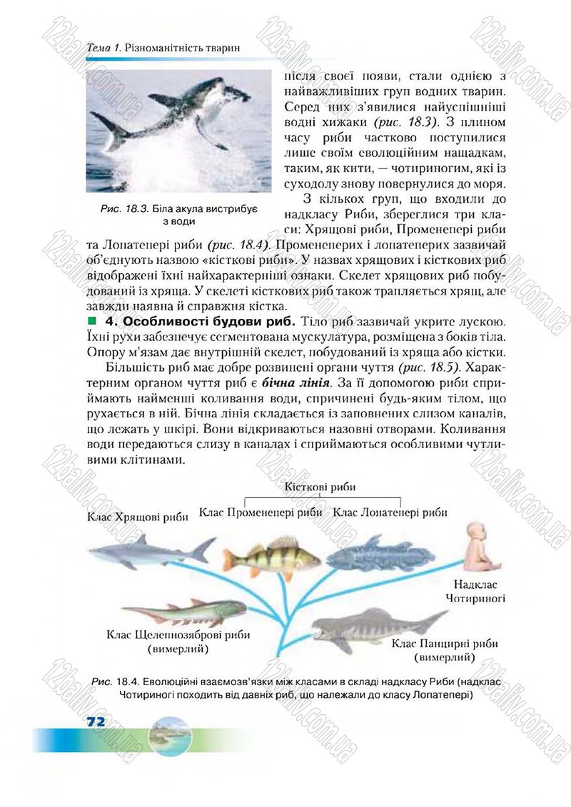 Сторінка 72 - Підручник Біологія 7 клас Д. А. Шабанов,  М. О. Кравченко 2015