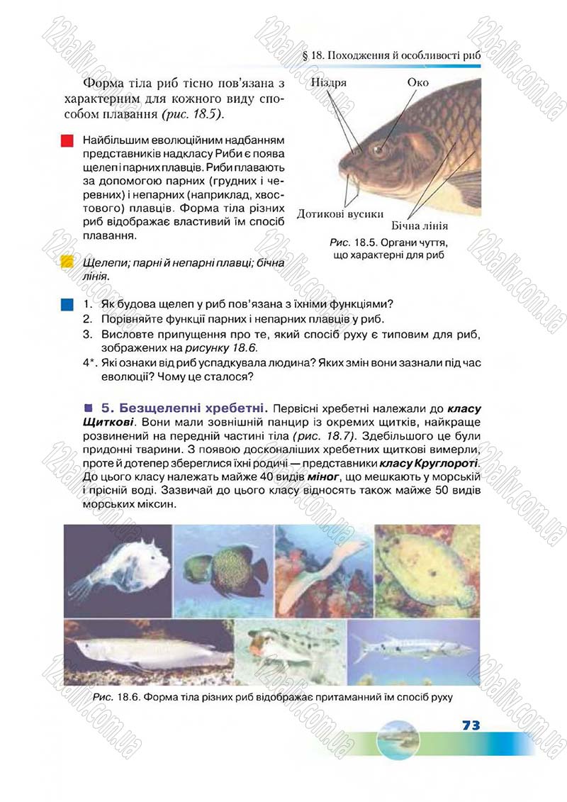 Сторінка 73 - Підручник Біологія 7 клас Д. А. Шабанов,  М. О. Кравченко 2015