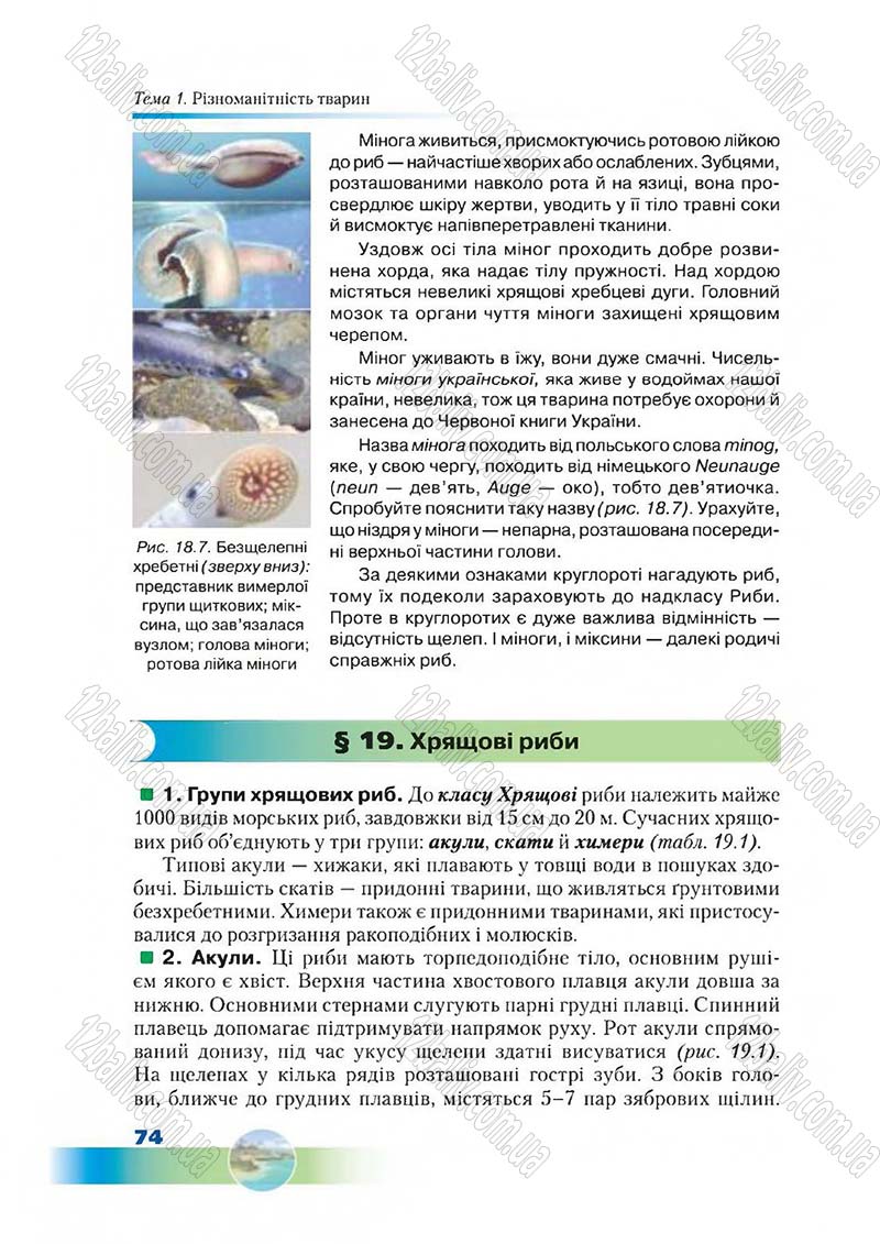 Сторінка 74 - Підручник Біологія 7 клас Д. А. Шабанов,  М. О. Кравченко 2015