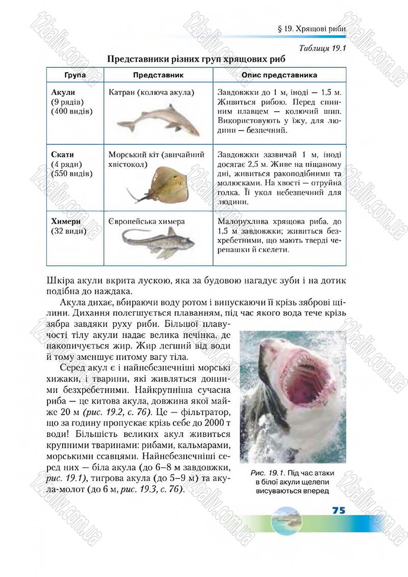 Сторінка 75 - Підручник Біологія 7 клас Д. А. Шабанов,  М. О. Кравченко 2015