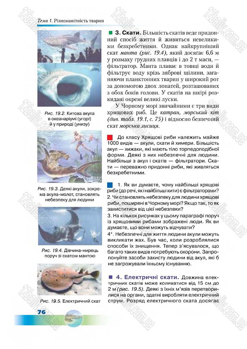 Сторінка 76 - Підручник Біологія 7 клас Д. А. Шабанов,  М. О. Кравченко 2015