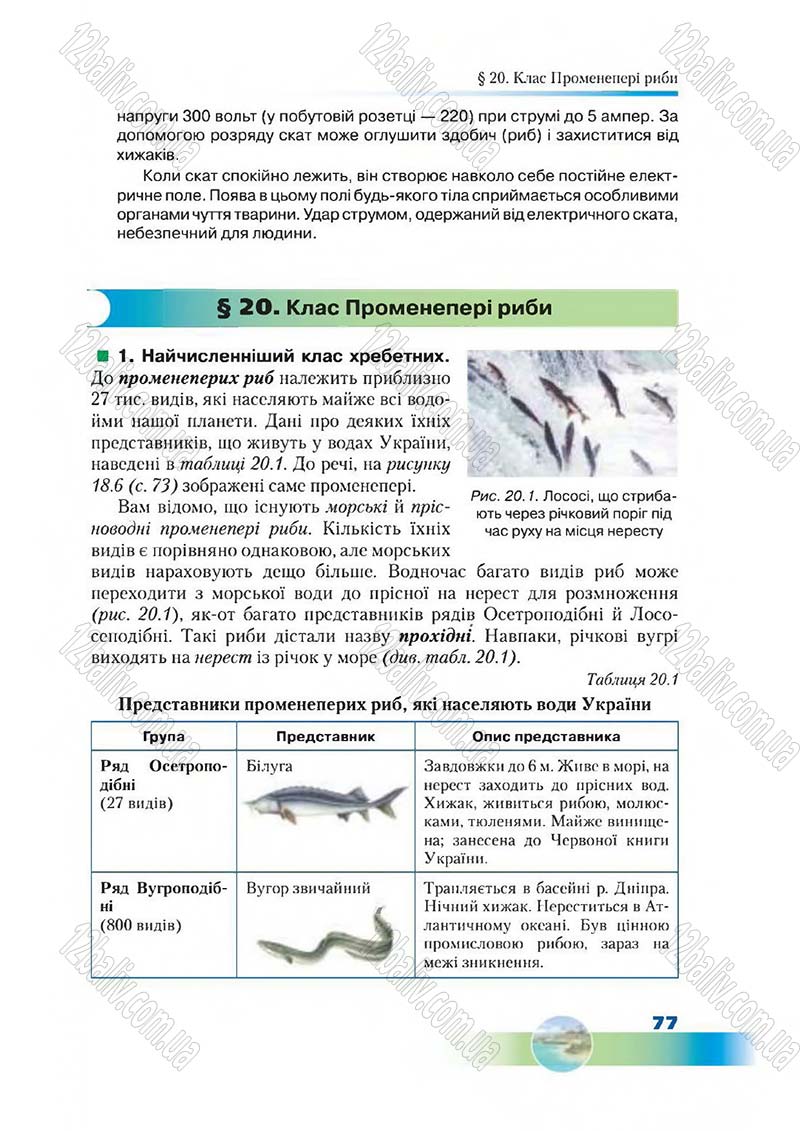 Сторінка 77 - Підручник Біологія 7 клас Д. А. Шабанов,  М. О. Кравченко 2015