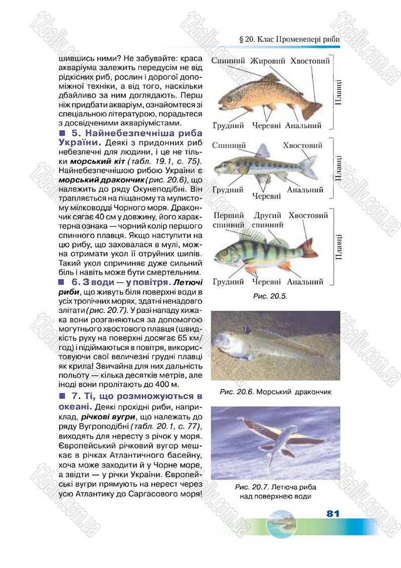 Сторінка 81 - Підручник Біологія 7 клас Д. А. Шабанов,  М. О. Кравченко 2015