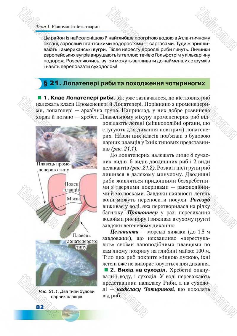 Сторінка 82 - Підручник Біологія 7 клас Д. А. Шабанов,  М. О. Кравченко 2015