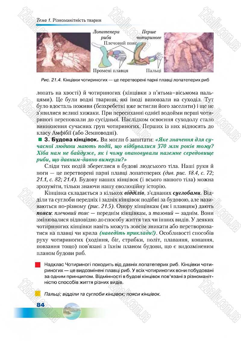 Сторінка 84 - Підручник Біологія 7 клас Д. А. Шабанов,  М. О. Кравченко 2015