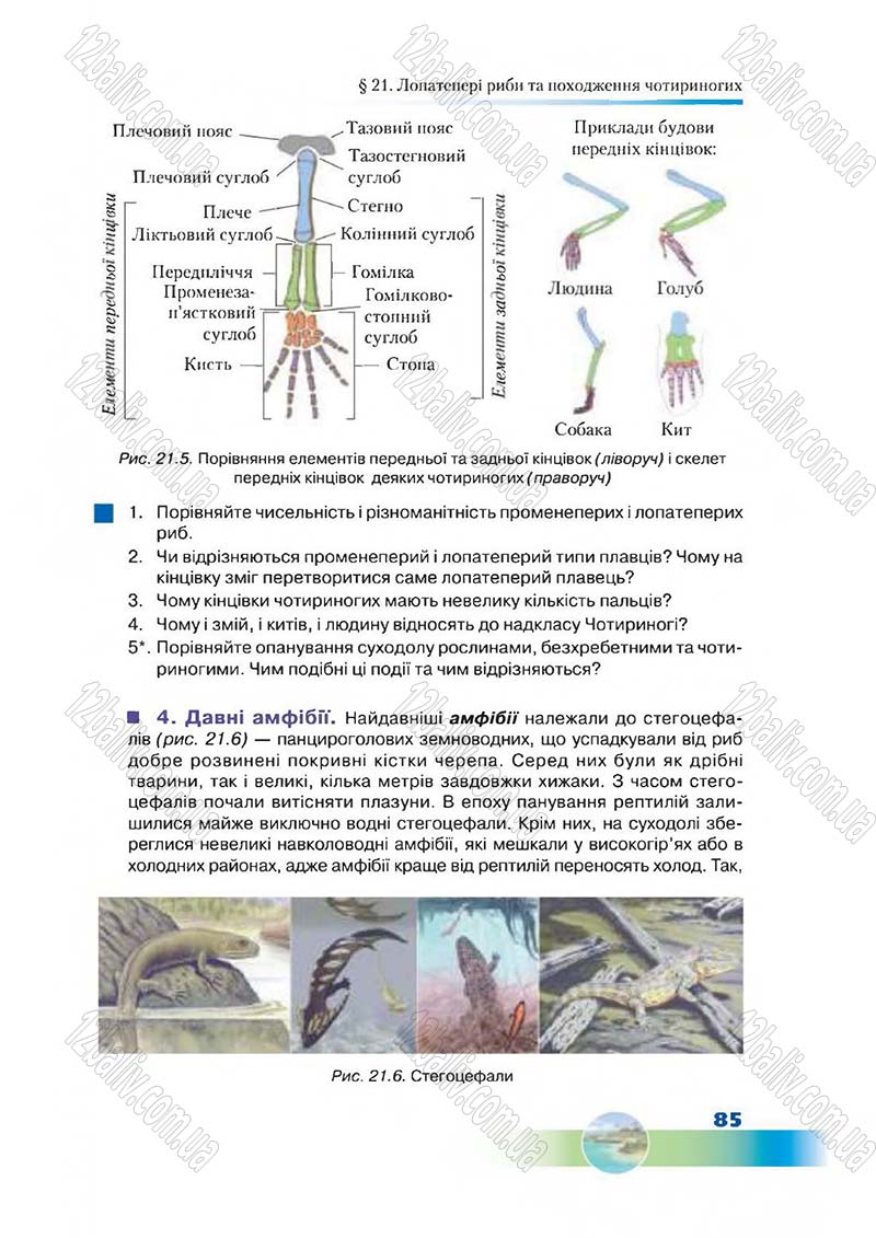 Сторінка 85 - Підручник Біологія 7 клас Д. А. Шабанов,  М. О. Кравченко 2015