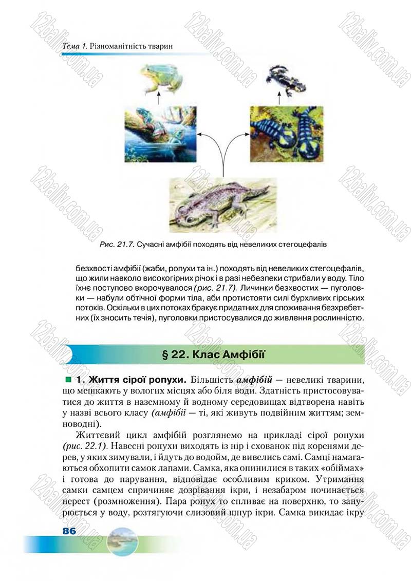 Сторінка 86 - Підручник Біологія 7 клас Д. А. Шабанов,  М. О. Кравченко 2015