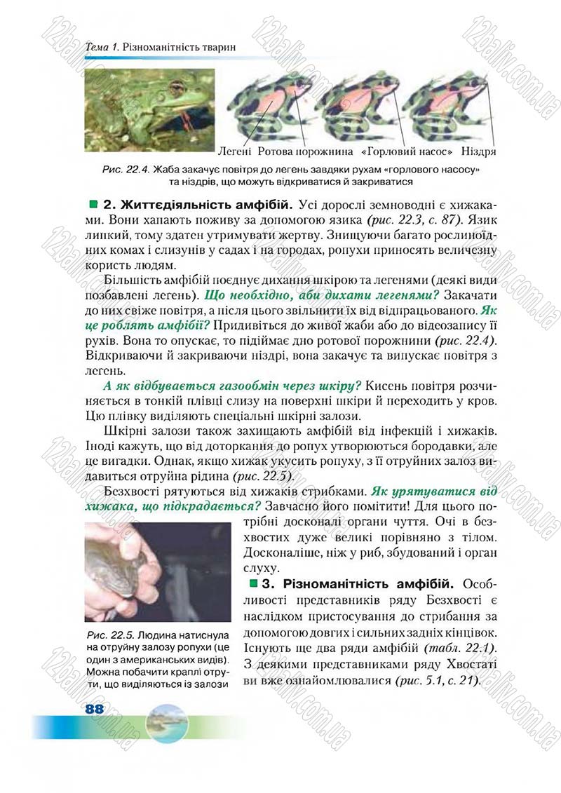 Сторінка 88 - Підручник Біологія 7 клас Д. А. Шабанов,  М. О. Кравченко 2015