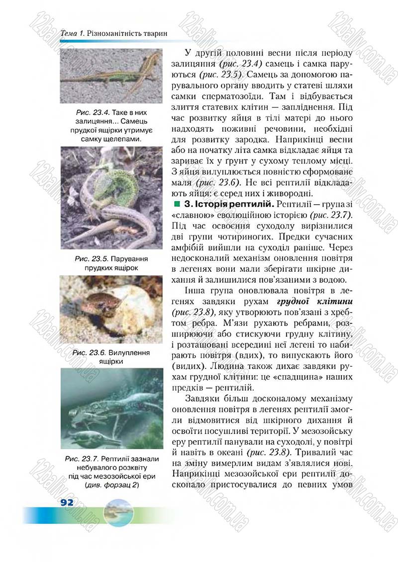 Сторінка 92 - Підручник Біологія 7 клас Д. А. Шабанов,  М. О. Кравченко 2015