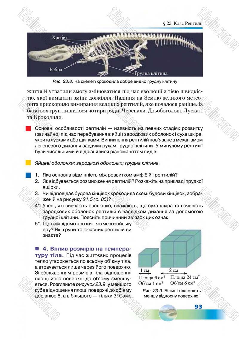 Сторінка 93 - Підручник Біологія 7 клас Д. А. Шабанов,  М. О. Кравченко 2015