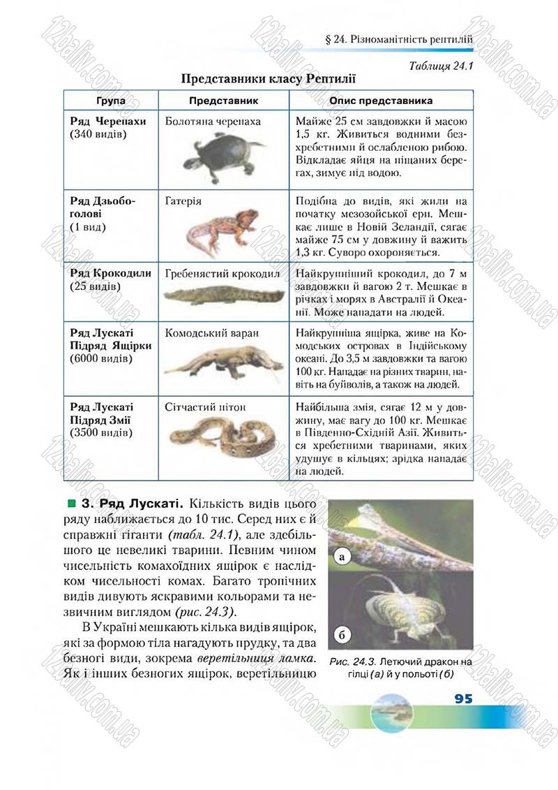 Сторінка 95 - Підручник Біологія 7 клас Д. А. Шабанов,  М. О. Кравченко 2015