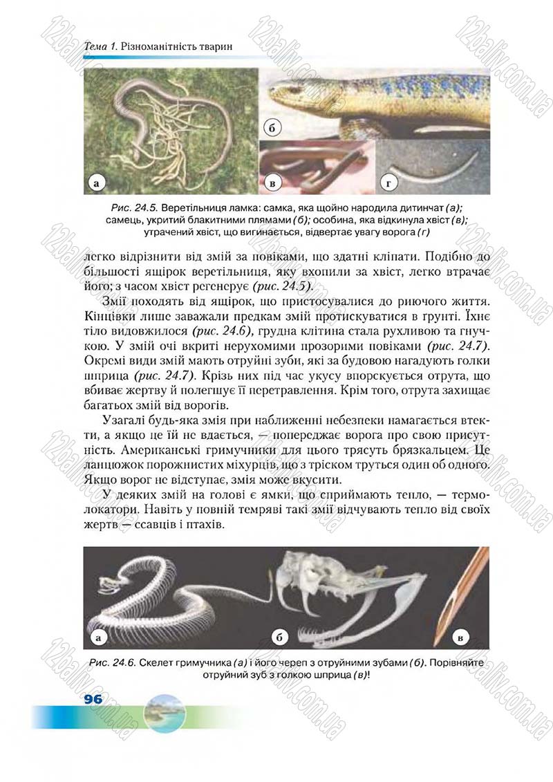 Сторінка 96 - Підручник Біологія 7 клас Д. А. Шабанов,  М. О. Кравченко 2015