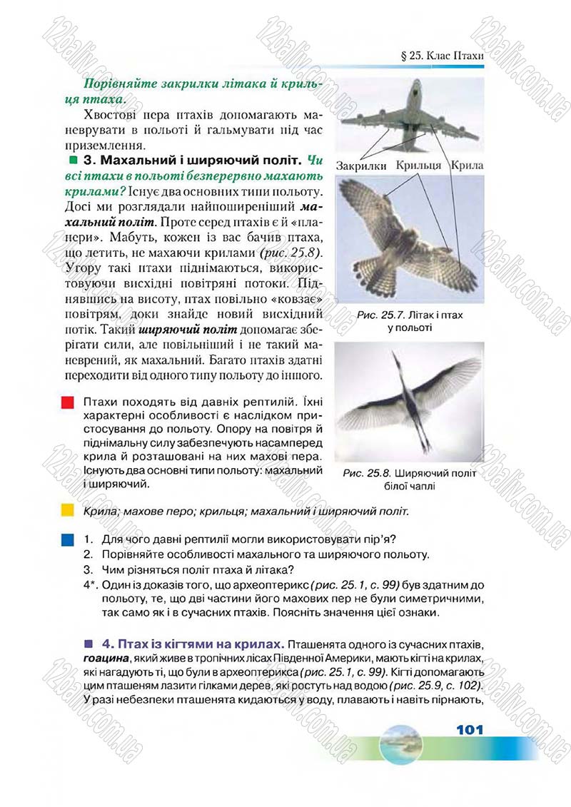 Сторінка 101 - Підручник Біологія 7 клас Д. А. Шабанов,  М. О. Кравченко 2015