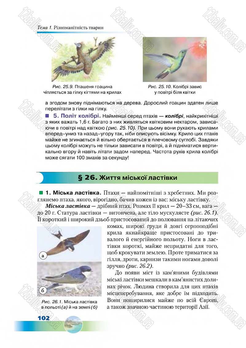 Сторінка 102 - Підручник Біологія 7 клас Д. А. Шабанов,  М. О. Кравченко 2015
