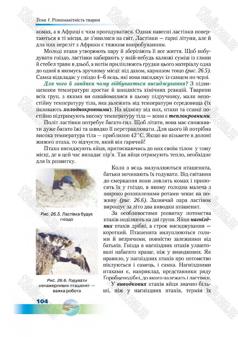 Сторінка 104 - Підручник Біологія 7 клас Д. А. Шабанов,  М. О. Кравченко 2015