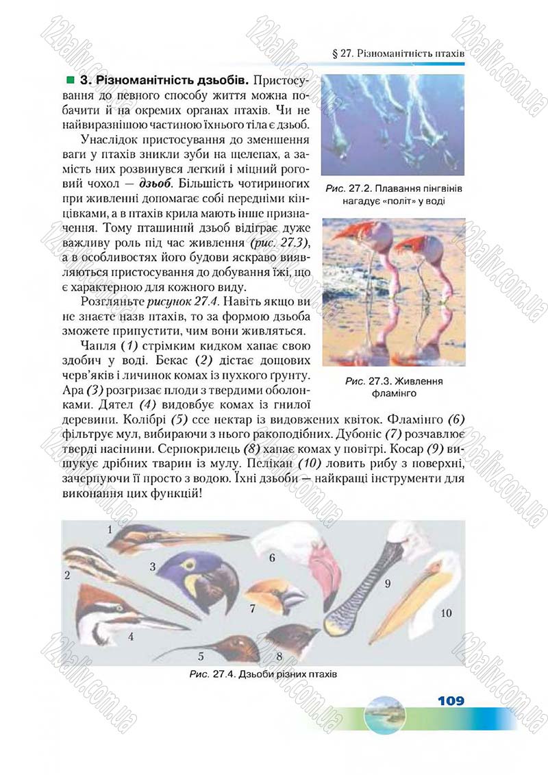 Сторінка 109 - Підручник Біологія 7 клас Д. А. Шабанов,  М. О. Кравченко 2015
