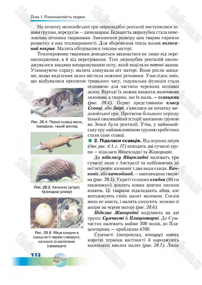 Сторінка 112 - Підручник Біологія 7 клас Д. А. Шабанов,  М. О. Кравченко 2015