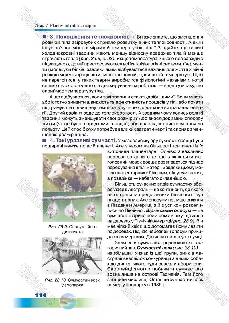 Сторінка 114 - Підручник Біологія 7 клас Д. А. Шабанов,  М. О. Кравченко 2015