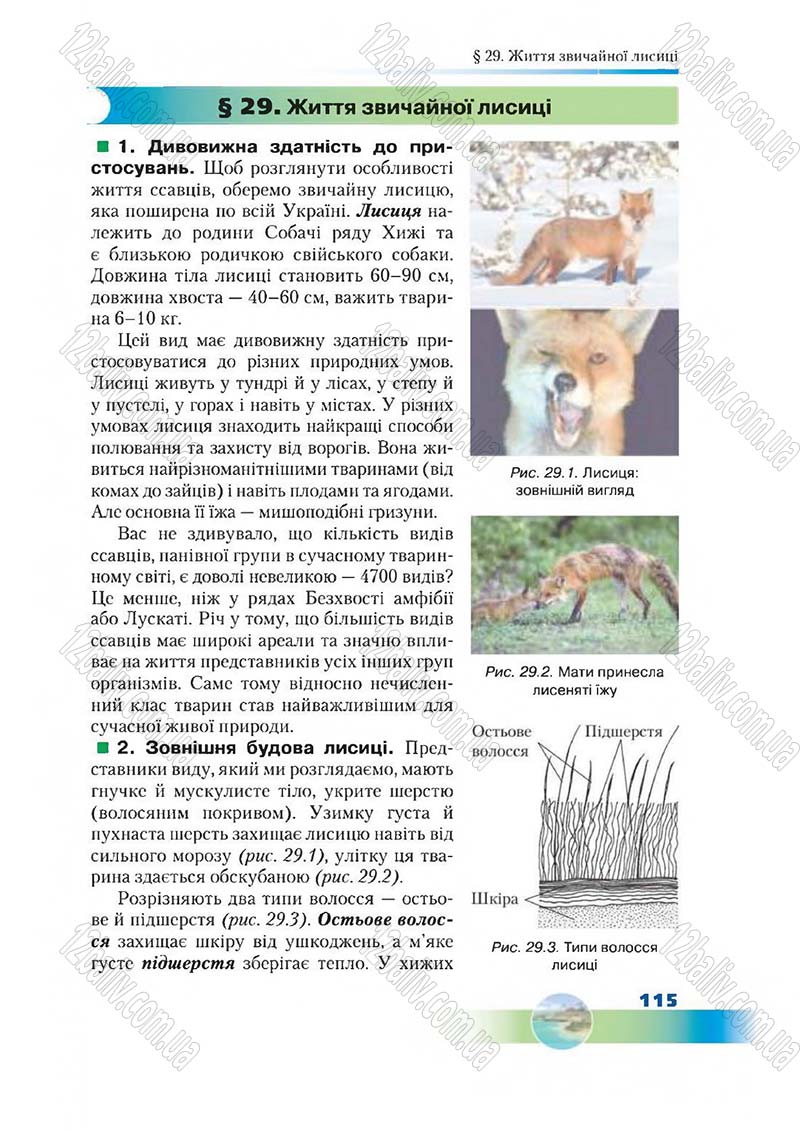 Сторінка 115 - Підручник Біологія 7 клас Д. А. Шабанов,  М. О. Кравченко 2015