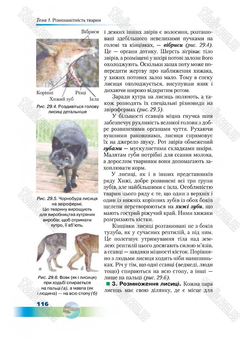 Сторінка 116 - Підручник Біологія 7 клас Д. А. Шабанов,  М. О. Кравченко 2015