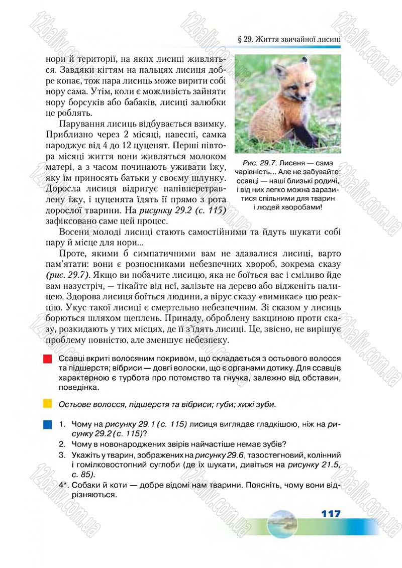 Сторінка 117 - Підручник Біологія 7 клас Д. А. Шабанов,  М. О. Кравченко 2015
