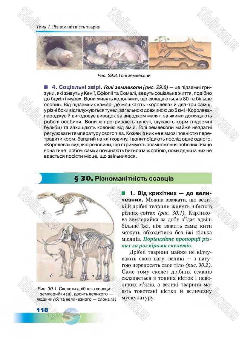 Сторінка 118 - Підручник Біологія 7 клас Д. А. Шабанов,  М. О. Кравченко 2015