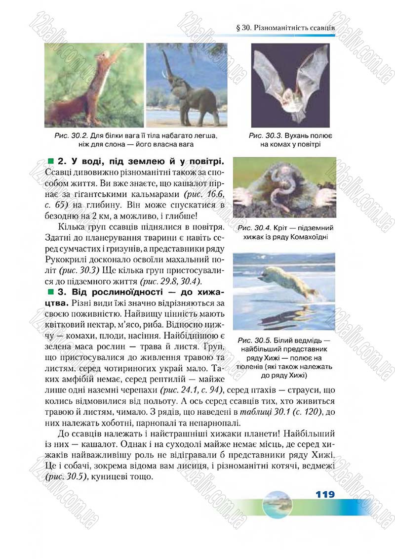 Сторінка 119 - Підручник Біологія 7 клас Д. А. Шабанов,  М. О. Кравченко 2015