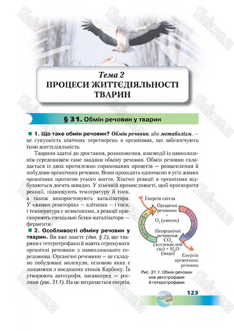 Сторінка 123 - Підручник Біологія 7 клас Д. А. Шабанов,  М. О. Кравченко 2015