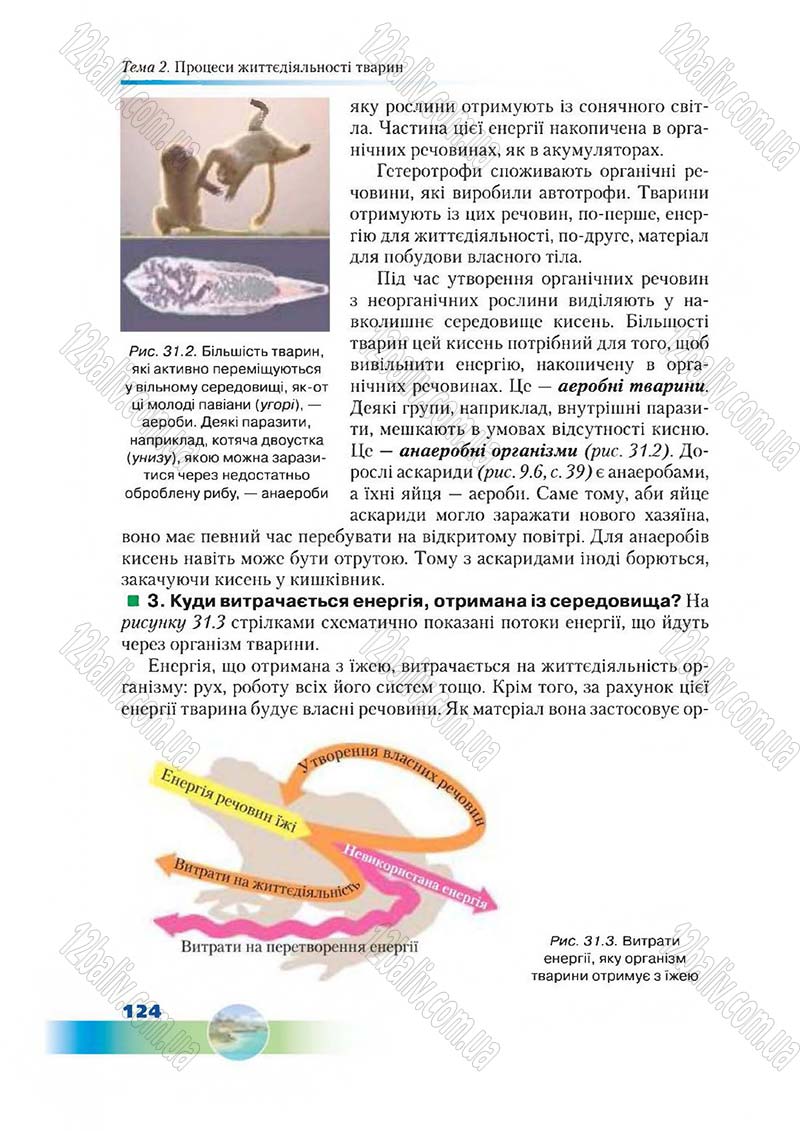 Сторінка 124 - Підручник Біологія 7 клас Д. А. Шабанов,  М. О. Кравченко 2015