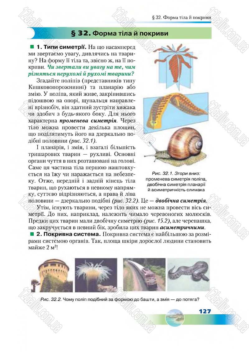 Сторінка 127 - Підручник Біологія 7 клас Д. А. Шабанов,  М. О. Кравченко 2015