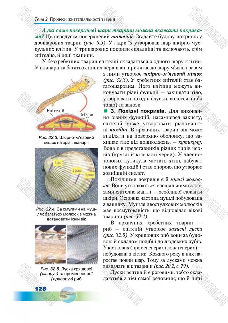 Сторінка 128 - Підручник Біологія 7 клас Д. А. Шабанов,  М. О. Кравченко 2015