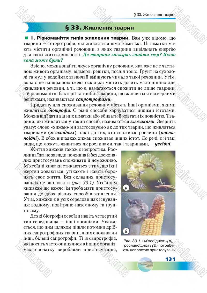 Сторінка 131 - Підручник Біологія 7 клас Д. А. Шабанов,  М. О. Кравченко 2015