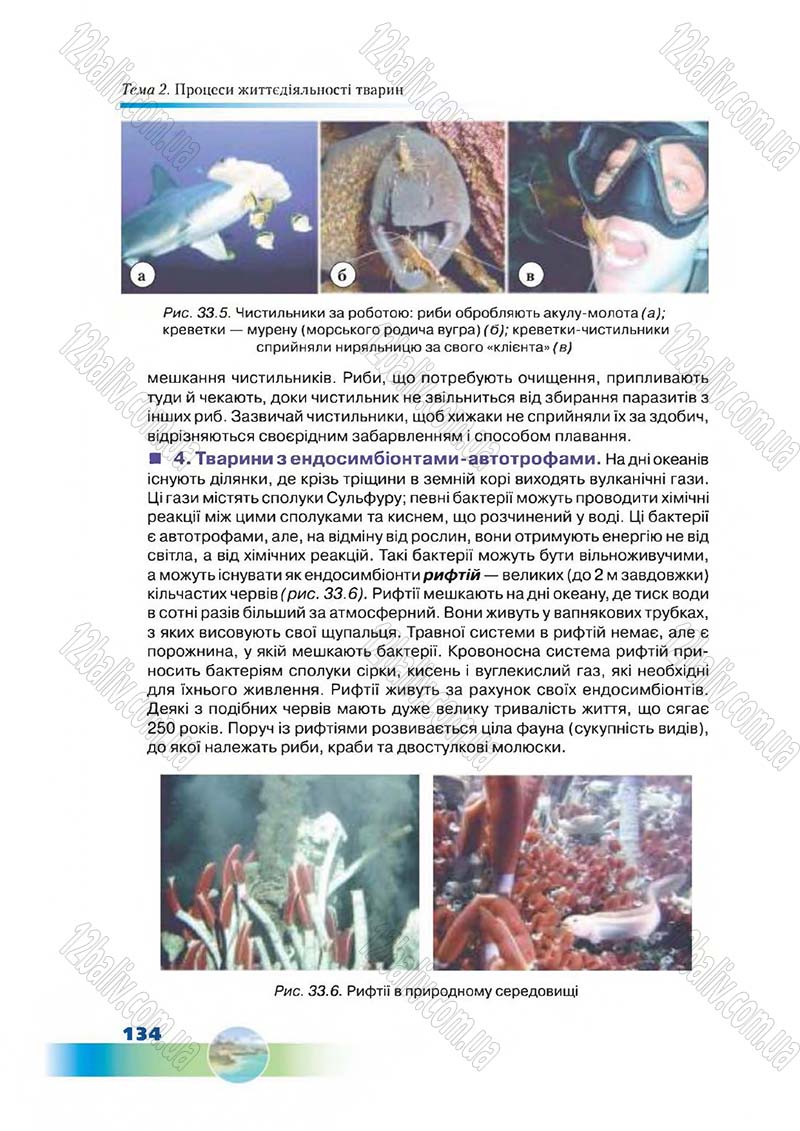 Сторінка 134 - Підручник Біологія 7 клас Д. А. Шабанов,  М. О. Кравченко 2015