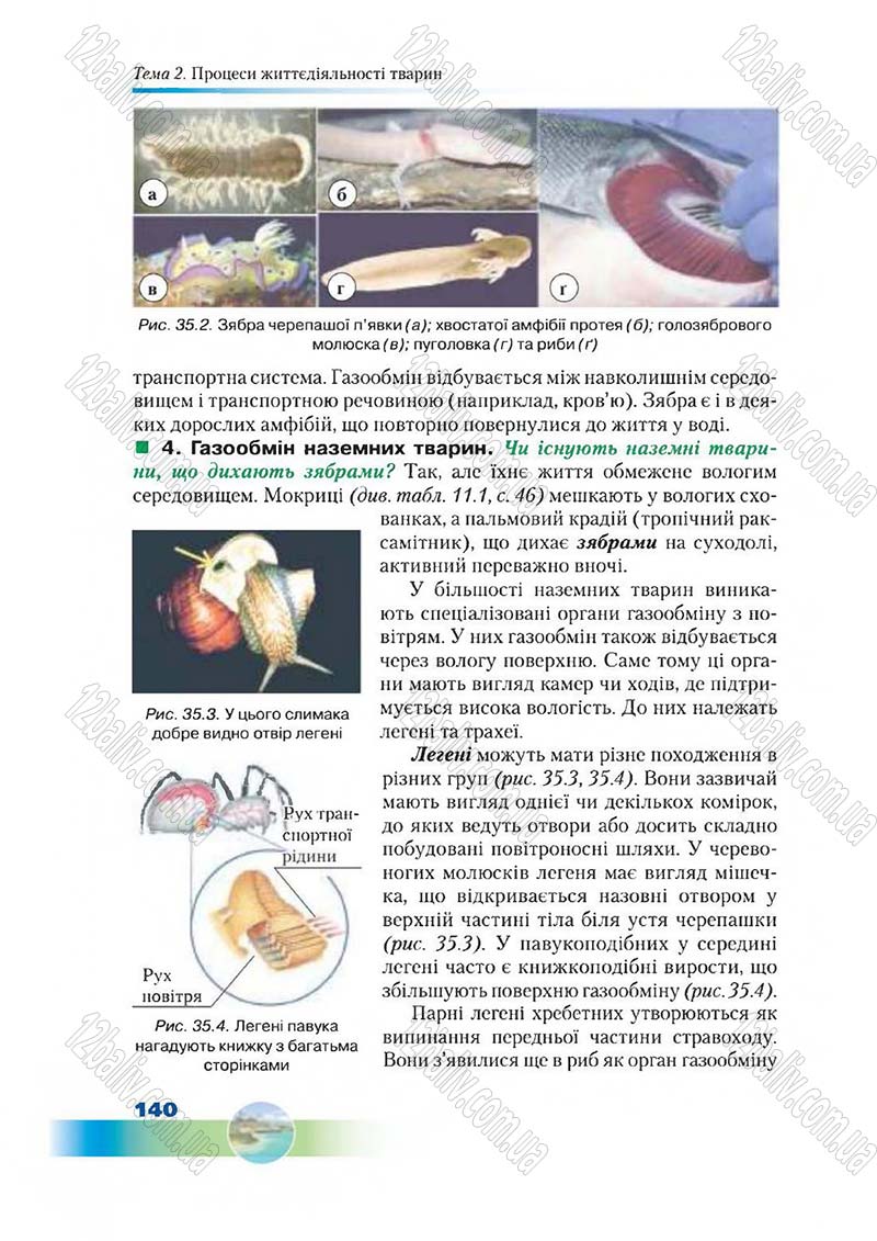 Сторінка 140 - Підручник Біологія 7 клас Д. А. Шабанов,  М. О. Кравченко 2015