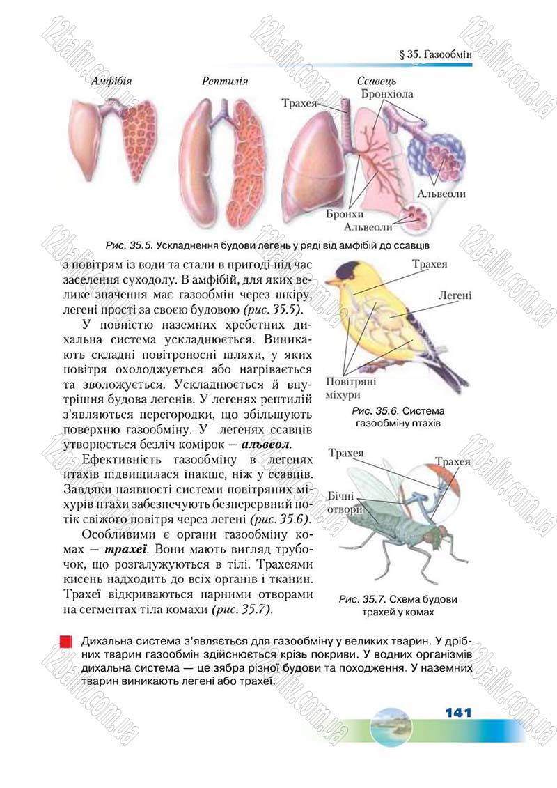 Сторінка 141 - Підручник Біологія 7 клас Д. А. Шабанов,  М. О. Кравченко 2015