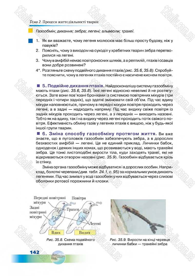 Сторінка 142 - Підручник Біологія 7 клас Д. А. Шабанов,  М. О. Кравченко 2015