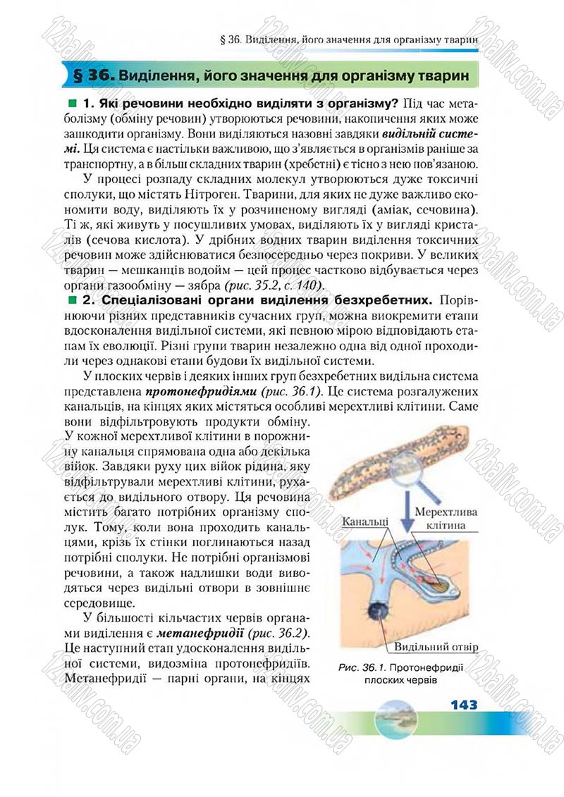 Сторінка 143 - Підручник Біологія 7 клас Д. А. Шабанов,  М. О. Кравченко 2015